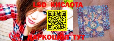 мяу мяу мука Дмитров